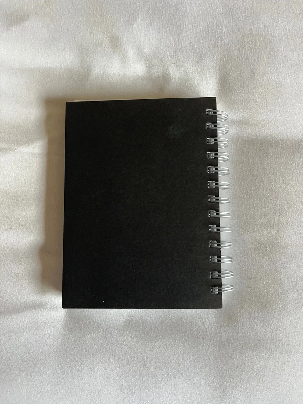 Notebook shameless silver